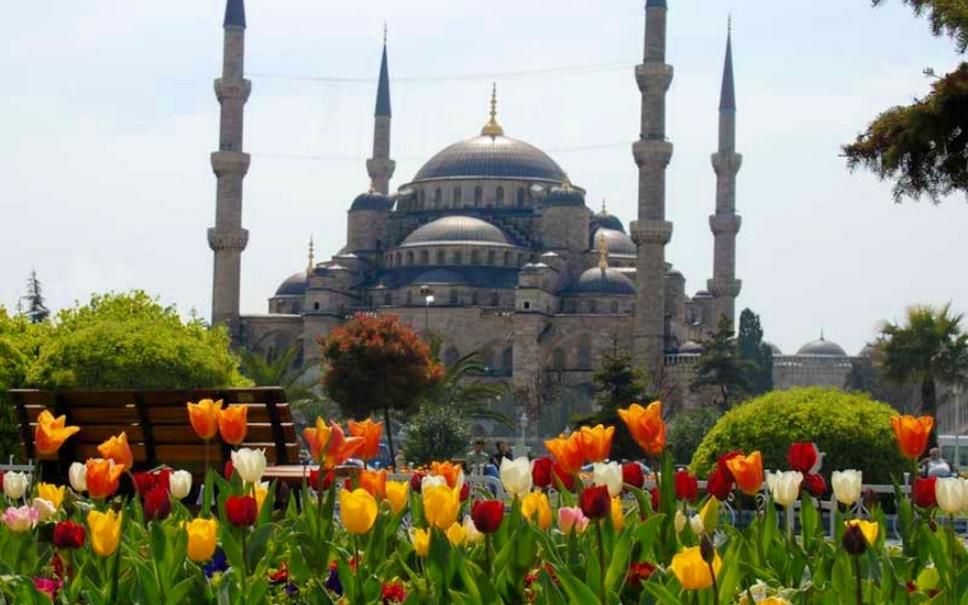 Туры в стамбул в апреле. Голубая мечеть в Стамбуле тюльпаны. Султанахмет Стамбул тюльпаны. Султанахмет весной.