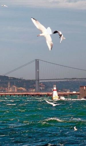 Istanbul - AVION