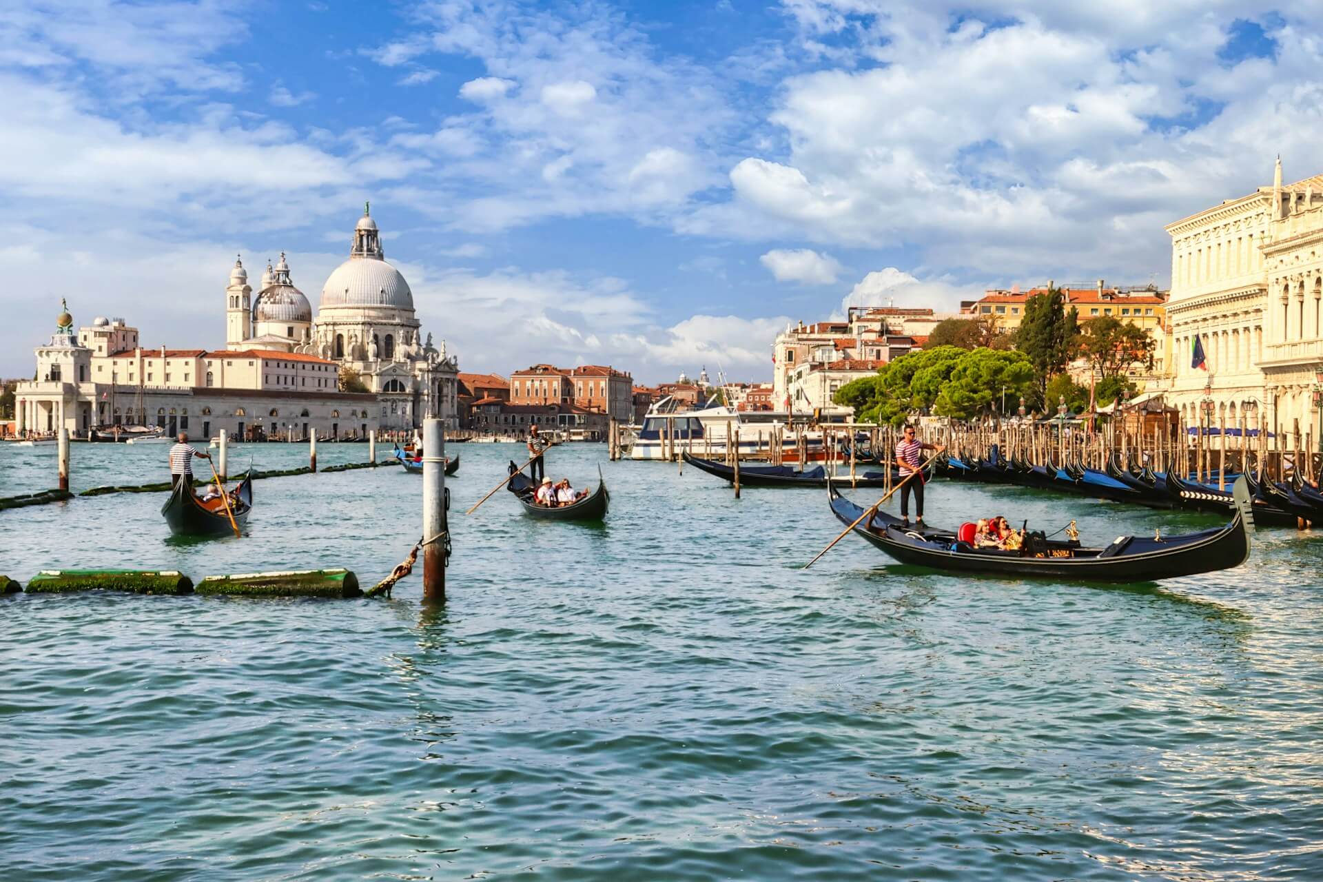 Venecija