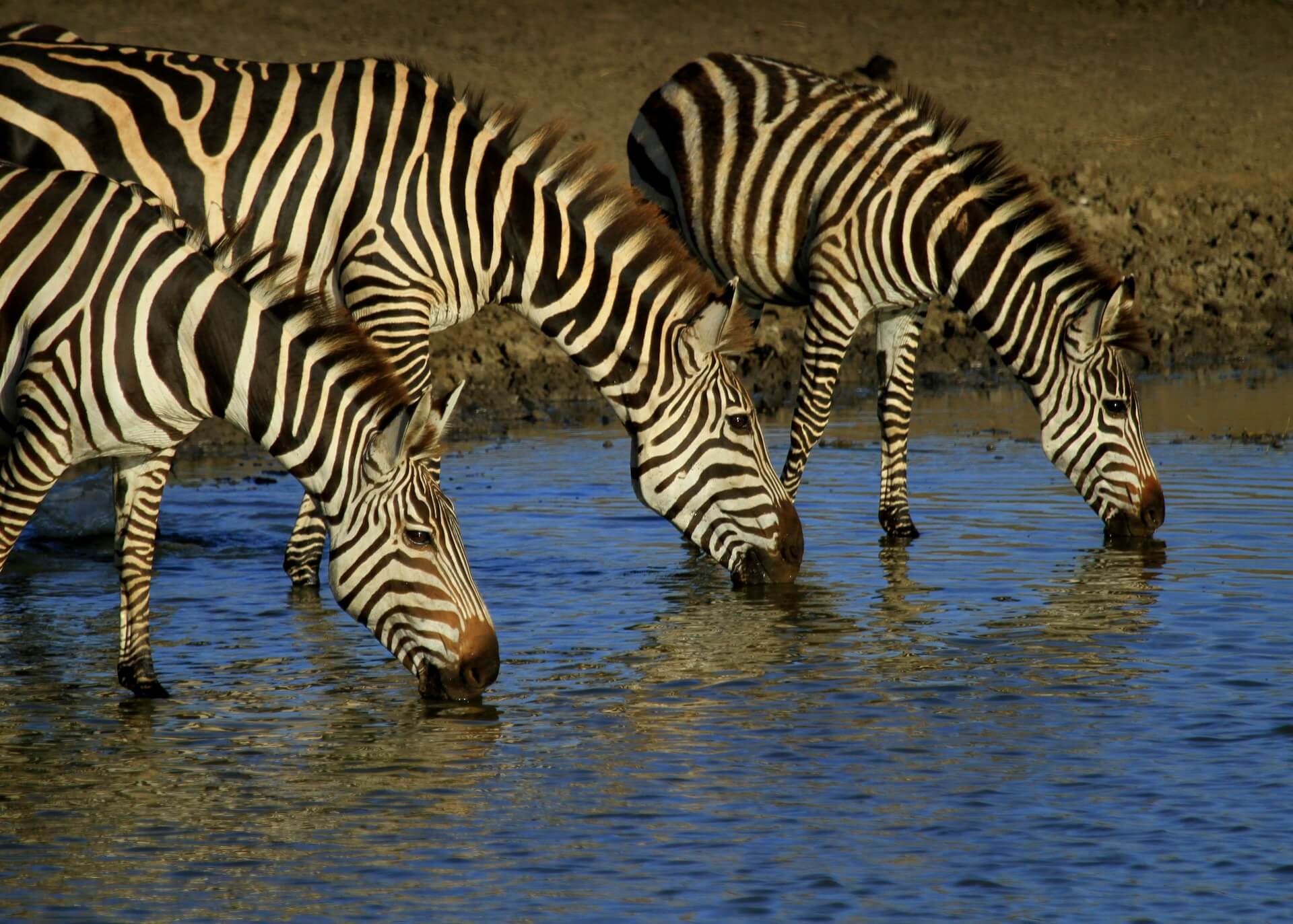 Tanzanija